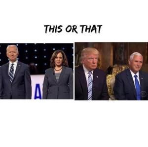 Meet your Posher, Roy